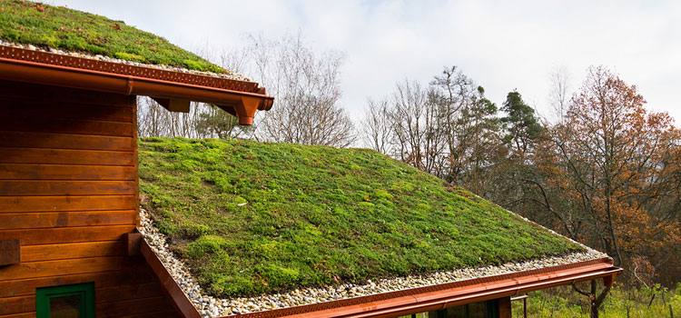 Huntington Beach Residential Green Roof